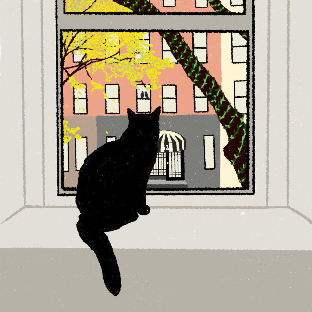 Mister at window